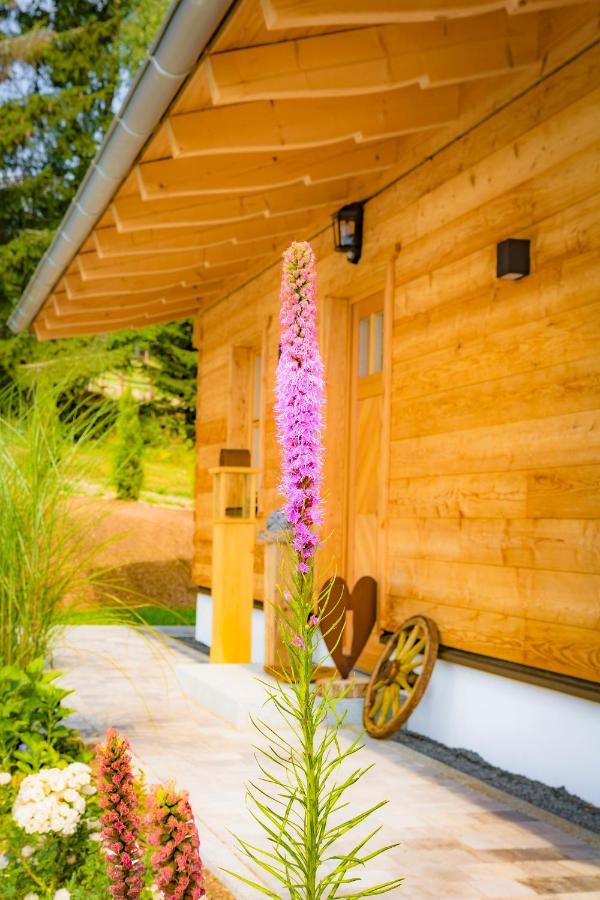 Das Wistlberg Wohlfuehlchalet Mauth Luaran gambar